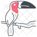 پیش‌نمایش فایل toucan-11065231 از پک استوایی