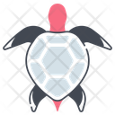 پیش‌نمایش فایل turtle-11065232 از پک استوایی