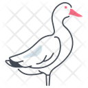 پیش‌نمایش فایل duck-11115762 از پک پرندگان