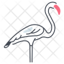 پیش‌نمایش فایل flamingo-11115765 از پک پرندگان