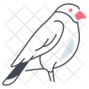 پیش‌نمایش فایل flamingo-11115766 از پک پرندگان