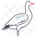 پیش‌نمایش فایل goose-11115767 از پک پرندگان