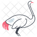 پیش‌نمایش فایل ostrich-11115776 از پک پرندگان