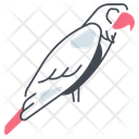 پیش‌نمایش فایل parrot-11115779 از پک پرندگان