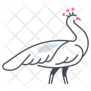 پیش‌نمایش فایل peacock-11115781 از پک پرندگان