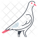 پیش‌نمایش فایل pigeon-11115784 از پک پرندگان