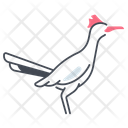 پیش‌نمایش فایل roadrunner-11115787 از پک پرندگان