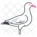 پیش‌نمایش فایل seagull-11115789 از پک پرندگان