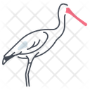 پیش‌نمایش فایل spoonbill-11115791 از پک پرندگان