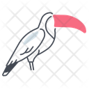 پیش‌نمایش فایل toucan-11115794 از پک پرندگان