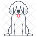 پیش‌نمایش فایل dog-11136222 از پک حیوان خانگی