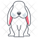 پیش‌نمایش فایل rabbit-11136243 از پک حیوان خانگی