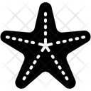پیش‌نمایش فایل starfish-4138067 از پک تابستان