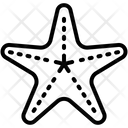 پیش‌نمایش فایل starfish-4138117 از پک تابستان