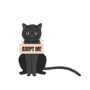 پیش‌نمایش فایل cat-with-adopt-me-collar-10396739 از پک فرزندخواندگی حیوان خانگی