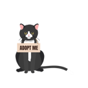 پیش‌نمایش فایل cat-with-adopt-me-collar-10396740 از پک فرزندخواندگی حیوان خانگی