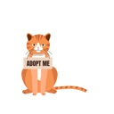 پیش‌نمایش فایل homeless-furry-friend-with-adoptable-collar-10396741 از پک فرزندخواندگی حیوان خانگی