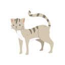 پیش‌نمایش فایل adorable-cat-12622090 از پک گربه