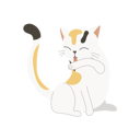 پیش‌نمایش فایل adorable-pet-hygiene-12622321 از پک گربه