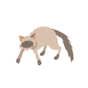 پیش‌نمایش فایل aggressive-cat-12622338 از پک گربه