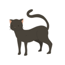 پیش‌نمایش فایل cat-12622092 از پک گربه