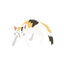 پیش‌نمایش فایل cat-in-aggressive-pose-12622337 از پک گربه