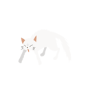پیش‌نمایش فایل cat-in-aggressive-posture-with-fluffed-up-fur-12622333 از پک گربه