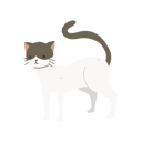 پیش‌نمایش فایل charming-cute-cat-12622087 از پک گربه