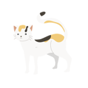 پیش‌نمایش فایل charming-cute-cat-12622088 از پک گربه