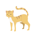 پیش‌نمایش فایل charming-cute-cat-12622089 از پک گربه
