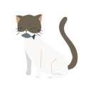 پیش‌نمایش فایل cute-cat-holding-fish-in-mouth-12622095 از پک گربه