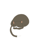 پیش‌نمایش فایل cute-domestic-cat-curled-up-in-a-comfortable-and-cozy-place-12622108 از پک گربه