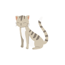 پیش‌نمایش فایل cute-happy-cat-12622343 از پک گربه