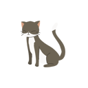 پیش‌نمایش فایل cute-happy-kitten-12622344 از پک گربه