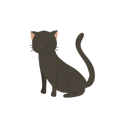 پیش‌نمایش فایل cute-happy-kitten-sitting-neatly-with-a-cheerful-smile-12622345 از پک گربه