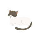 پیش‌نمایش فایل cute-kawaii-cat-12622084 از پک گربه