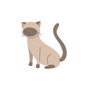 پیش‌نمایش فایل cute-kitten-12622346 از پک گربه