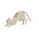 پیش‌نمایش فایل cute-kitten-crouching-12622331 از پک گربه