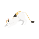 پیش‌نمایش فایل cute-kitten-crouching-or-stretching-12622329 از پک گربه