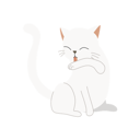 پیش‌نمایش فایل cute-kitten-licking-its-arm-for-hygiene-12622318 از پک گربه