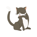 پیش‌نمایش فایل cute-kitten-licking-its-arm-for-self-grooming-12622316 از پک گربه