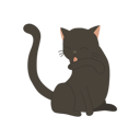 پیش‌نمایش فایل cute-kitten-licking-its-arm-for-self-grooming-and-cleanliness-12622317 از پک گربه