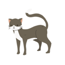 پیش‌نمایش فایل funny-cat-12622091 از پک گربه