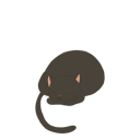 پیش‌نمایش فایل furry-cat-12622107 از پک گربه