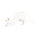 پیش‌نمایش فایل kawaii-cat-in-relaxing-posture-12622326 از پک گربه