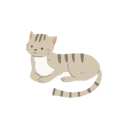 پیش‌نمایش فایل kawaii-grey-american-shorthair-cat-12622082 از پک گربه