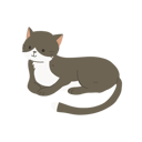 پیش‌نمایش فایل kawaii-tuxedo-cat-12622080 از پک گربه