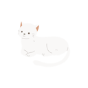 پیش‌نمایش فایل kawaii-white-cat-12622083 از پک گربه