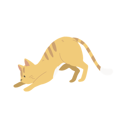 پیش‌نمایش فایل kitten-crouching-or-stretching-12622330 از پک گربه