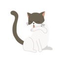 پیش‌نمایش فایل pet-hygiene-12622320 از پک گربه